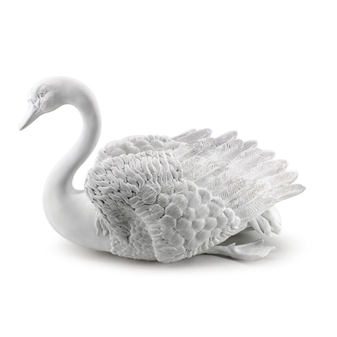 Swan White
