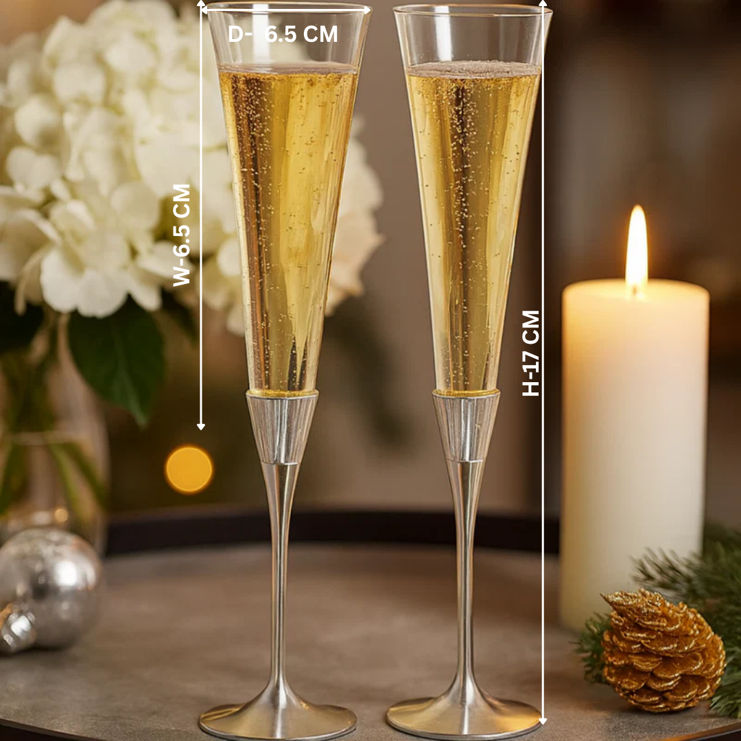 Champagne Flute set of 2 - Silver