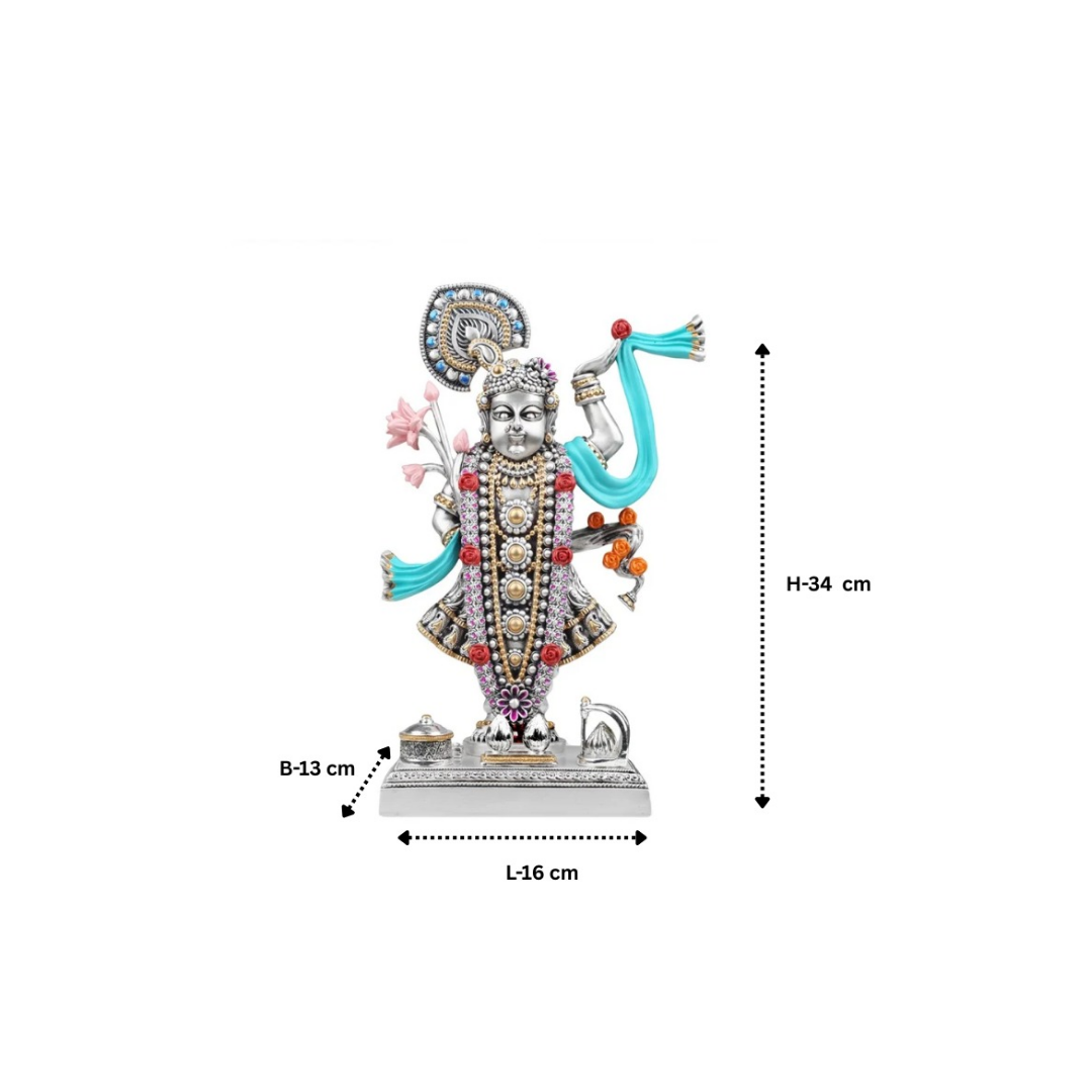 Shrinath Ji Colored Large (H- 34 cm)