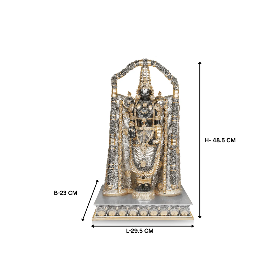 Temple Black Balaji (48.5 cm)