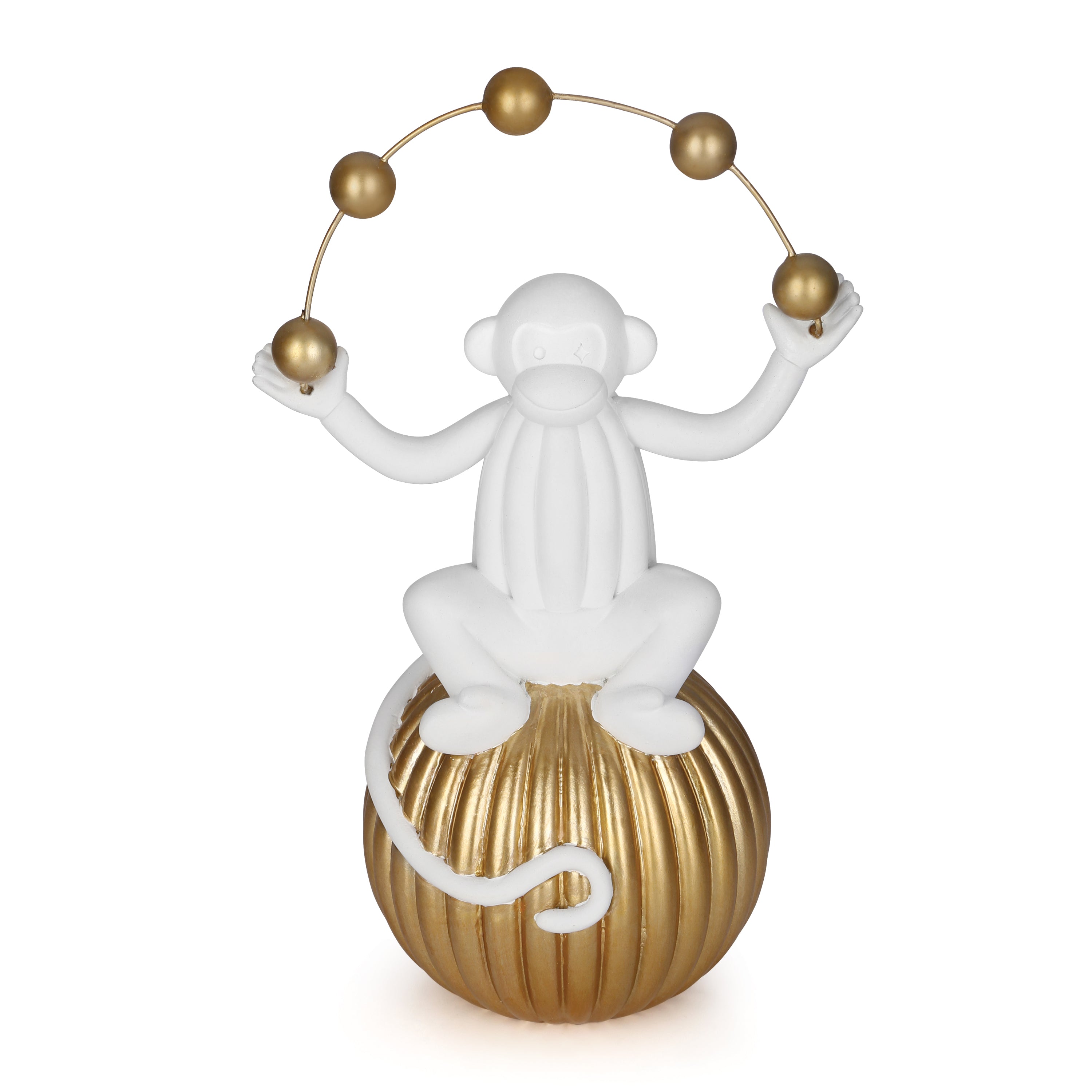 Monkey Sitting on the ball