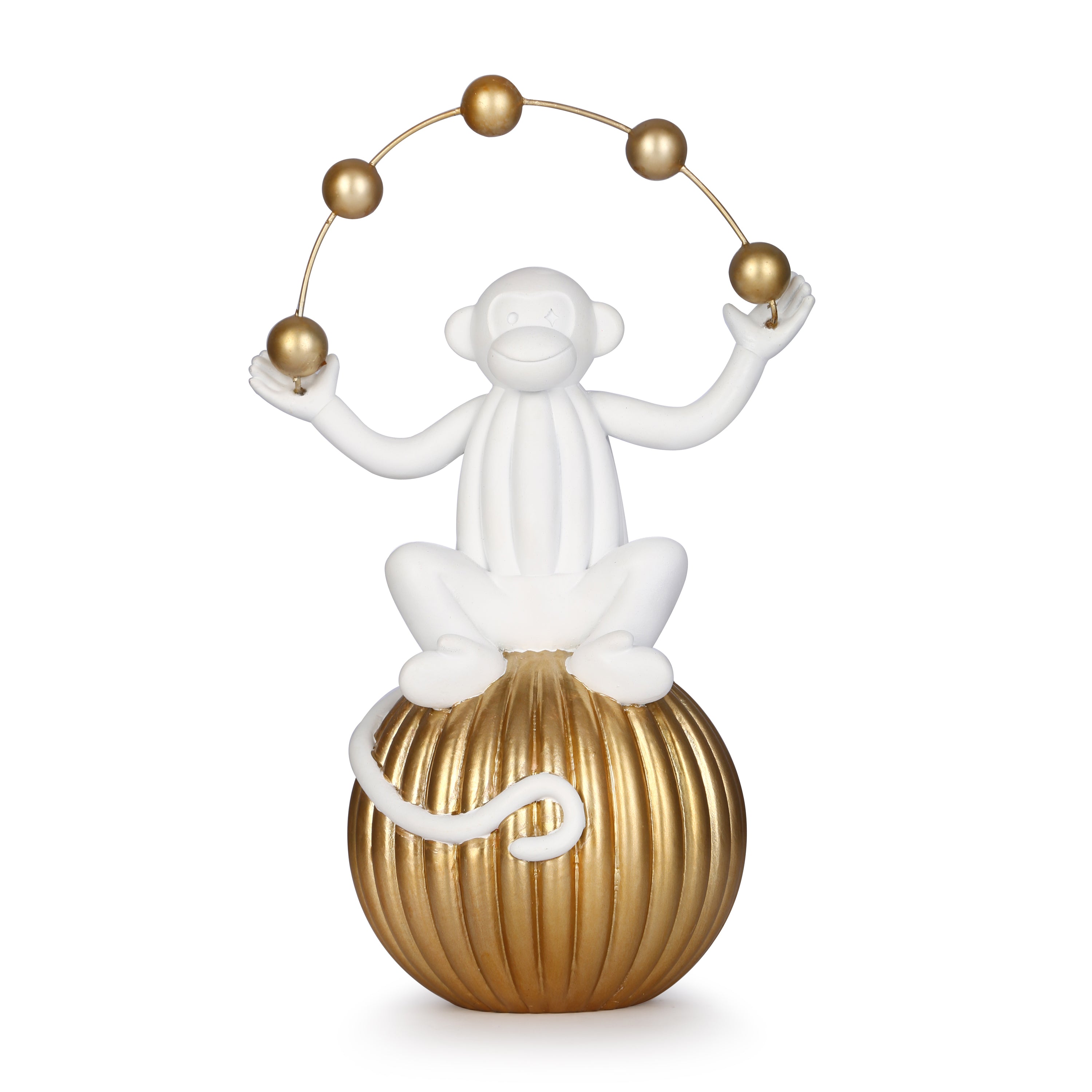 Monkey Sitting on the ball