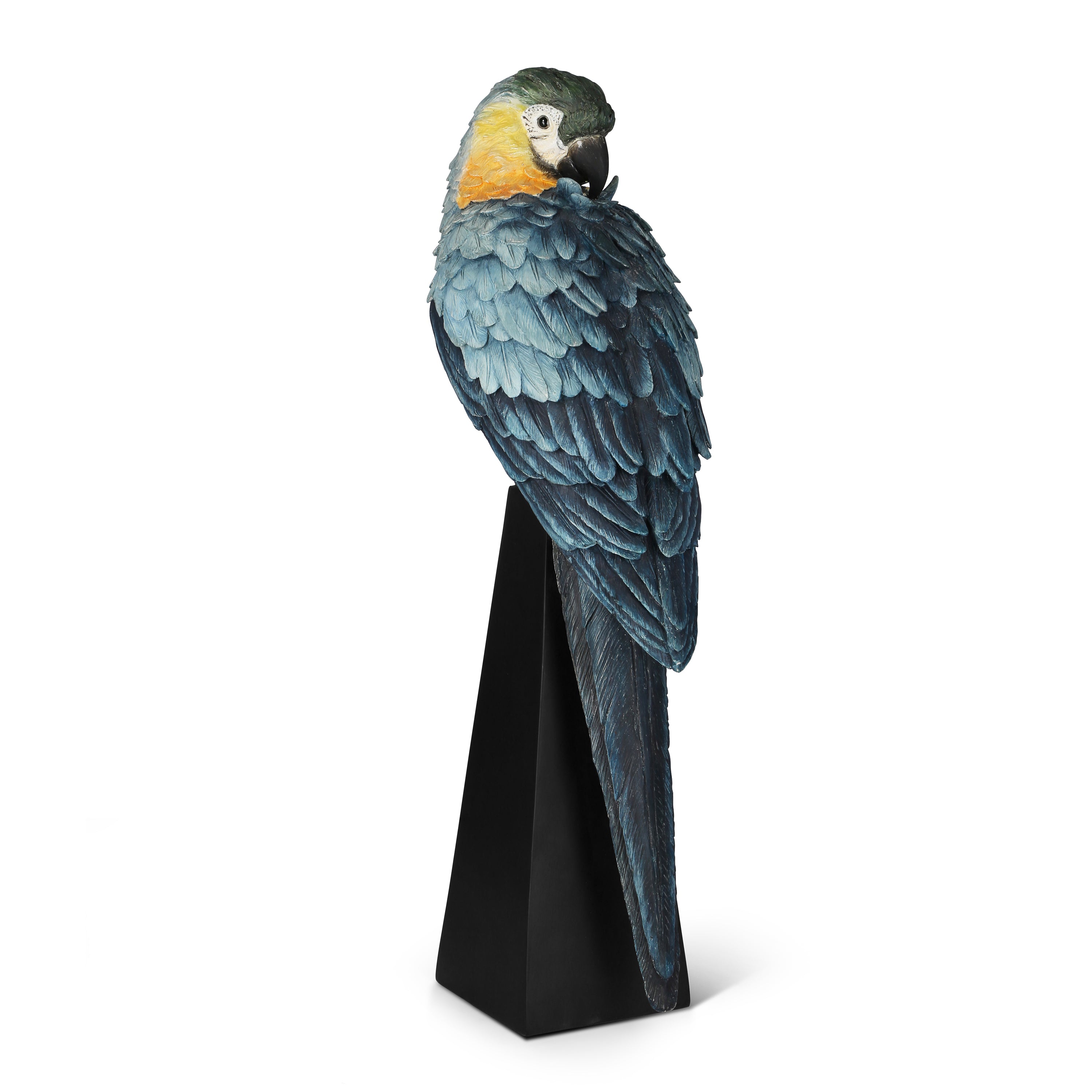 Macaw on base