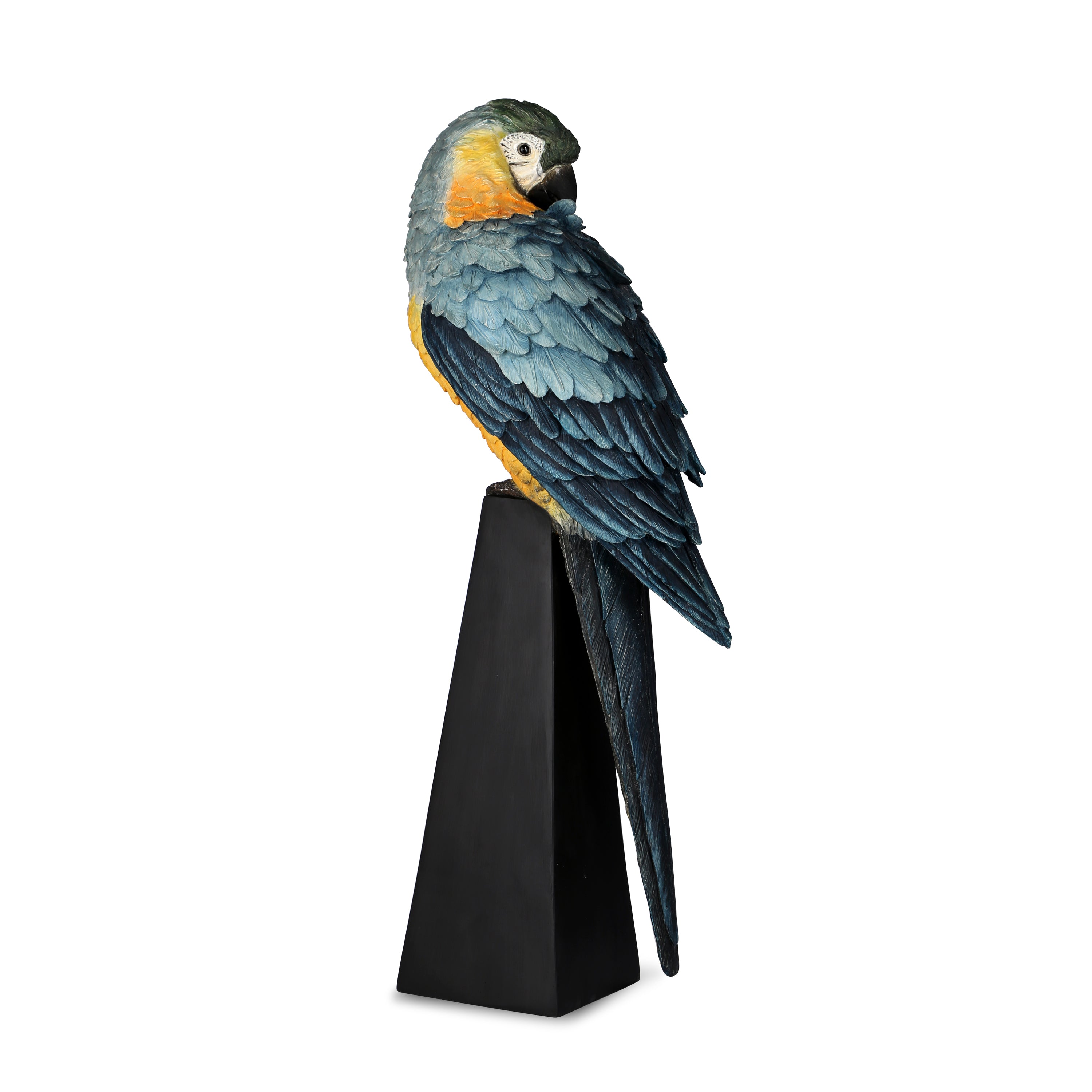 Macaw on base