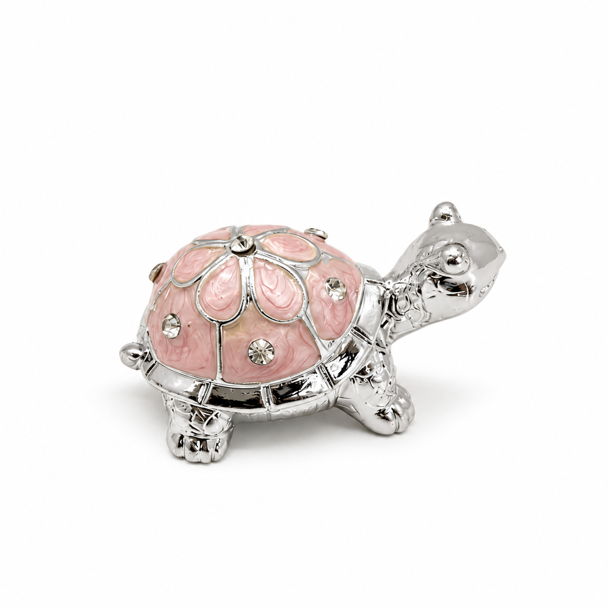 Turtle treasure