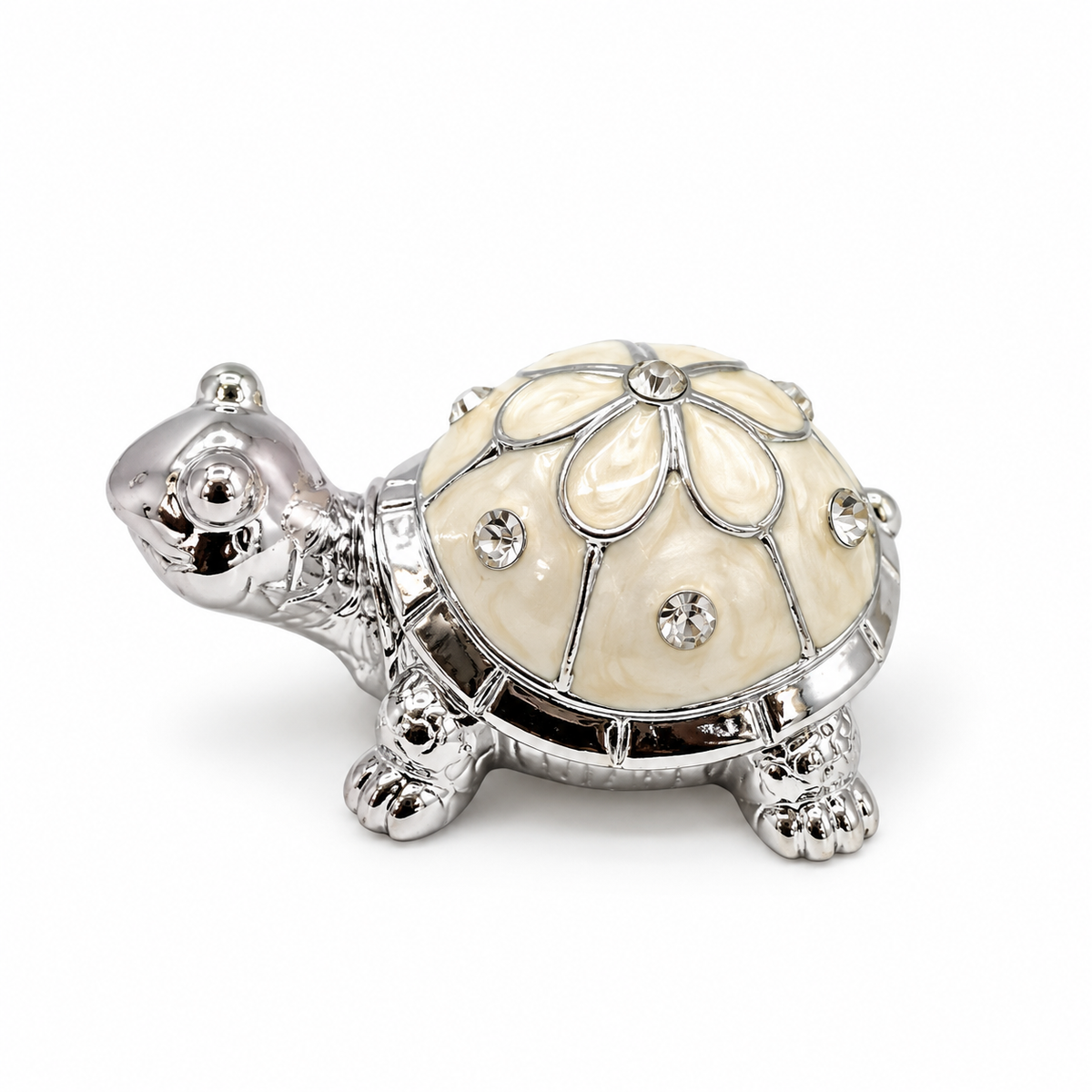 Turtle treasure