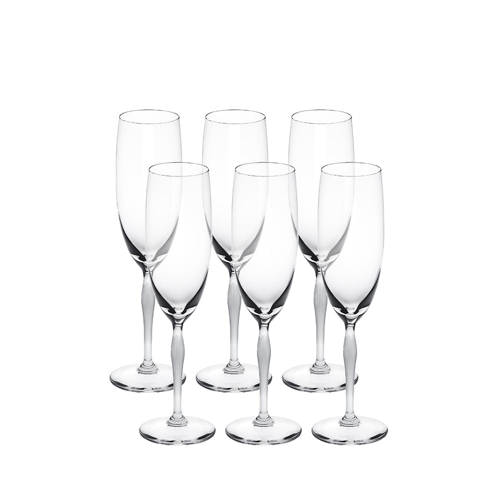 100 Points Champagne Glasses( Set of 6)