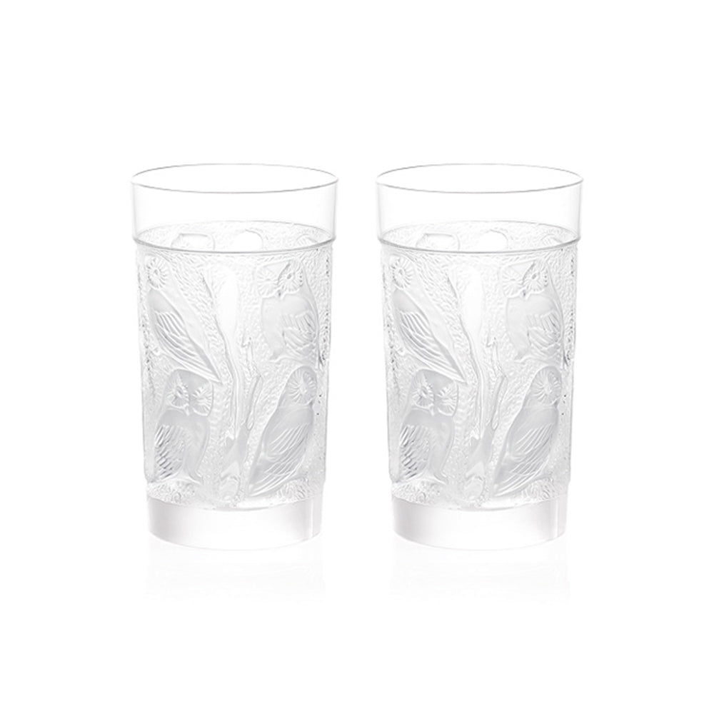 Owl Large Tumbler (Set Of 2)