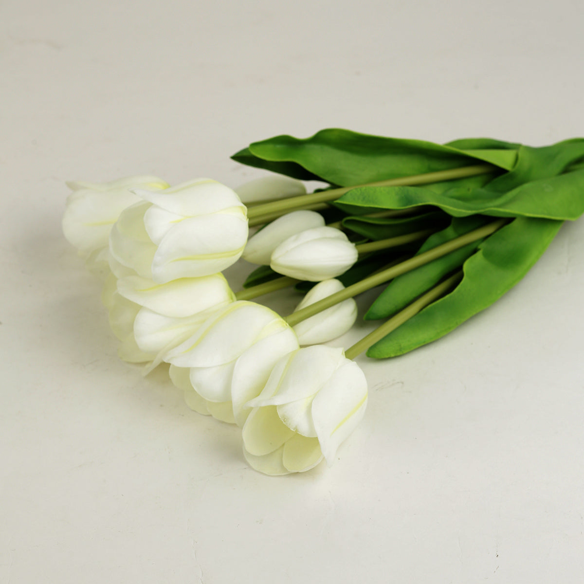 White Tulips