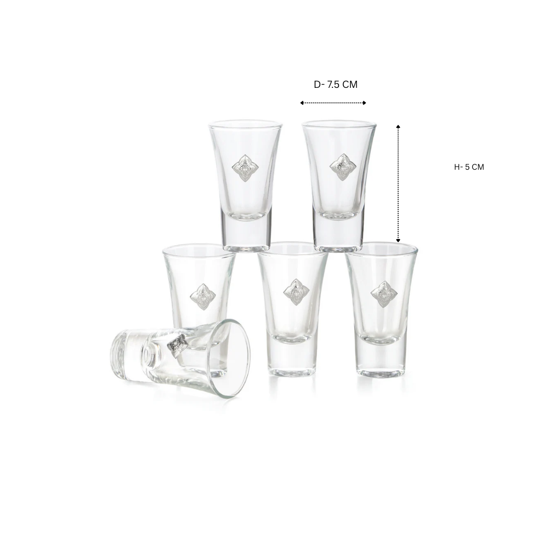 Set of 6 Silver Design Shot Glasses CLEAR