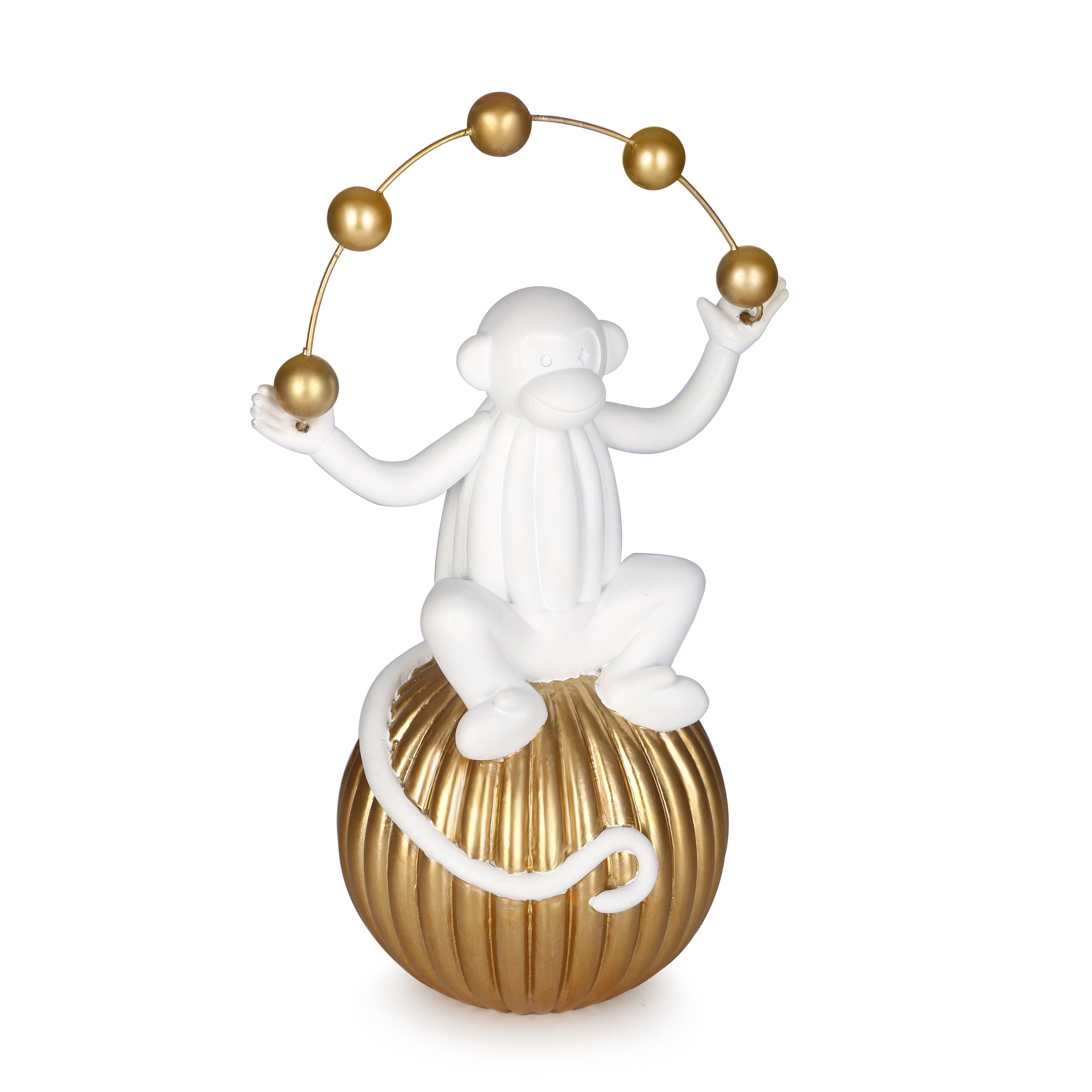 Monkey Sitting on the ball