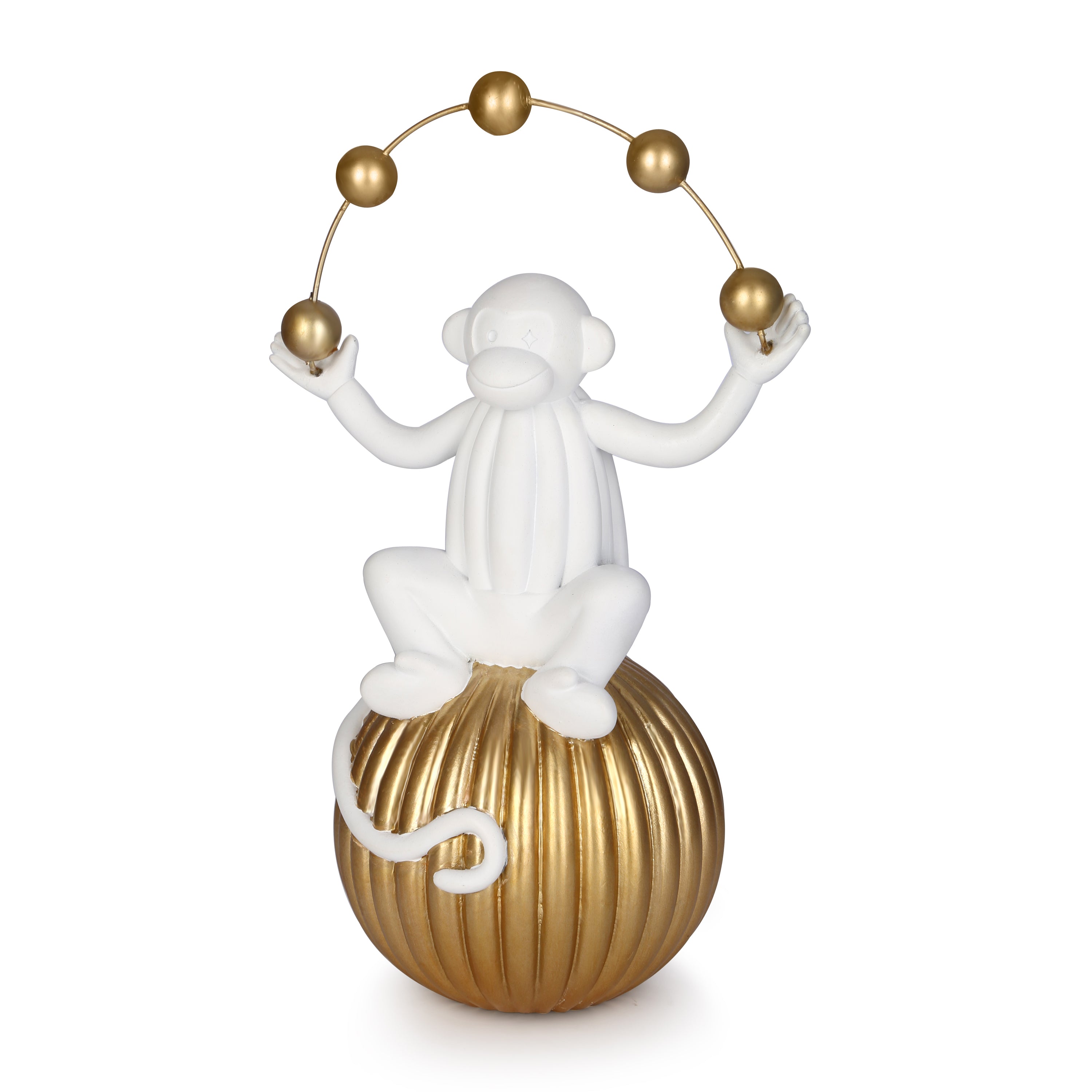 Monkey Sitting on the ball