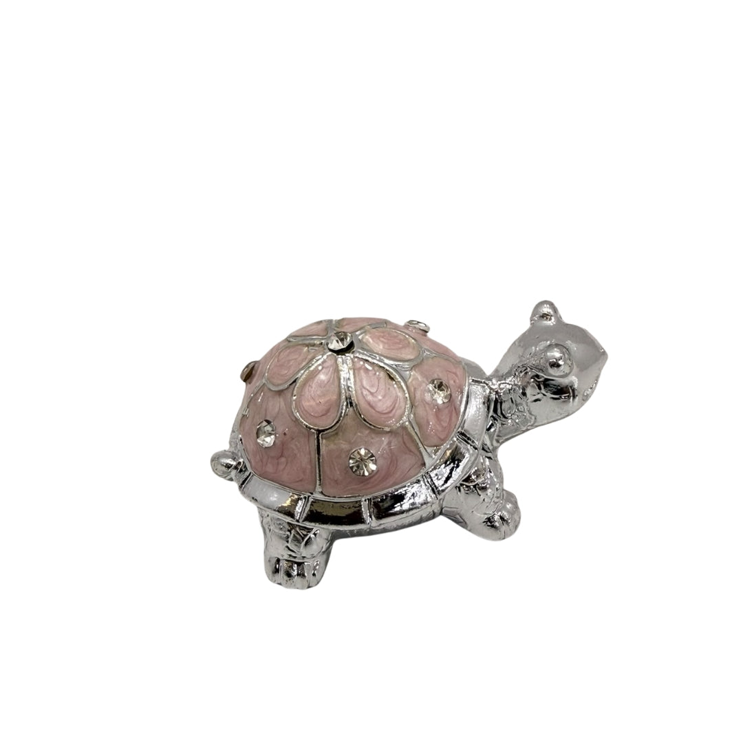 Turtle treasure