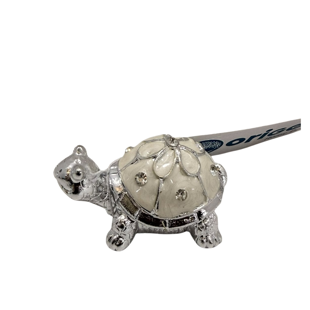 Turtle treasure