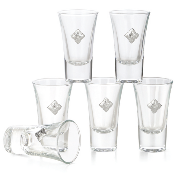Set of 6 Silver Design Shot Glasses CLEAR