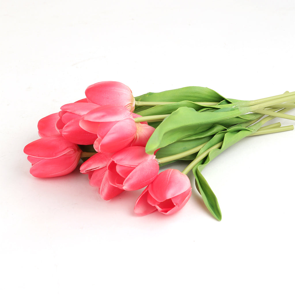 Pink Tulips